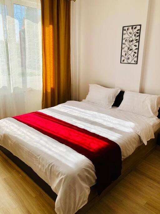 Joy City Stay Victoriei 7G-9 Timisoara Exterior photo